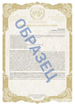 Образец Приложение к СТО 01.064.00220722.2-2020 Инта Сертификат СТО 01.064.00220722.2-2020 